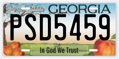 GA license plate PSD5459