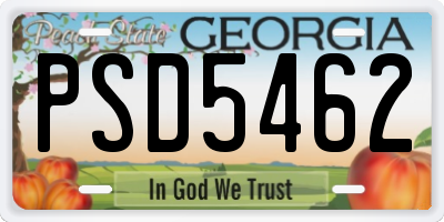 GA license plate PSD5462
