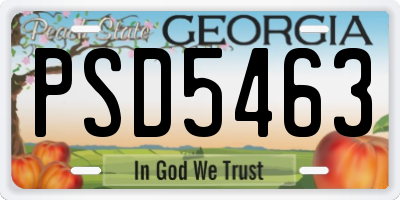 GA license plate PSD5463