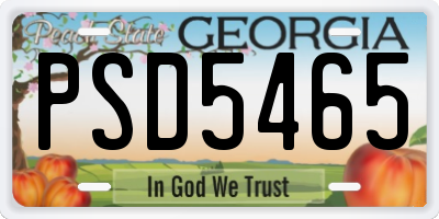 GA license plate PSD5465
