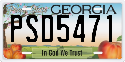 GA license plate PSD5471
