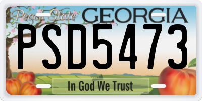 GA license plate PSD5473