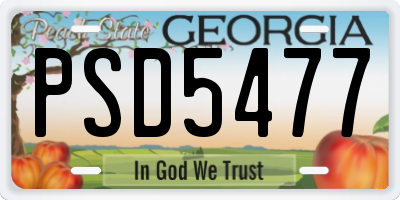 GA license plate PSD5477