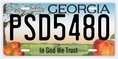 GA license plate PSD5480