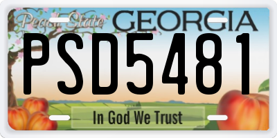 GA license plate PSD5481