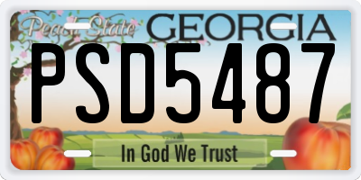 GA license plate PSD5487