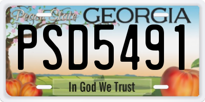 GA license plate PSD5491