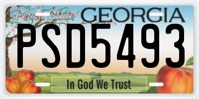 GA license plate PSD5493