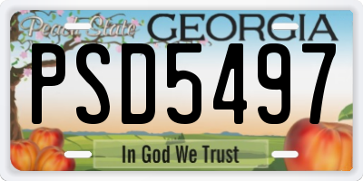 GA license plate PSD5497