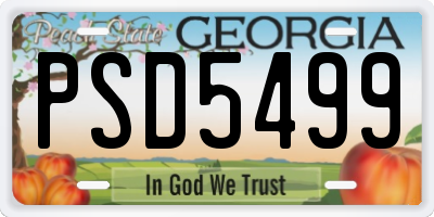 GA license plate PSD5499