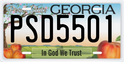 GA license plate PSD5501