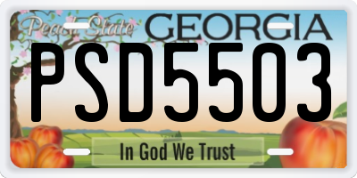 GA license plate PSD5503
