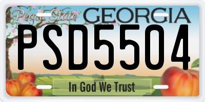 GA license plate PSD5504