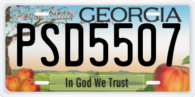 GA license plate PSD5507