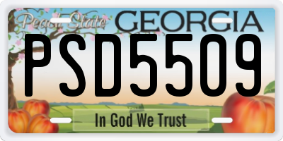 GA license plate PSD5509