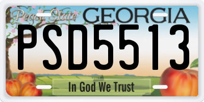 GA license plate PSD5513