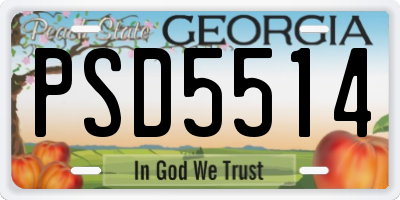 GA license plate PSD5514