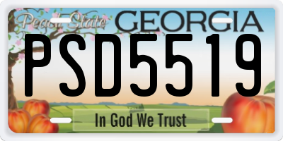 GA license plate PSD5519