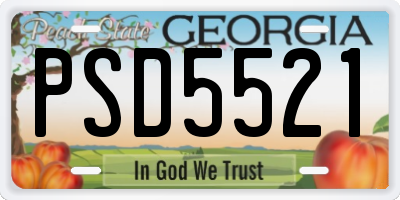 GA license plate PSD5521