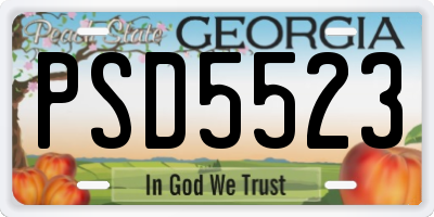 GA license plate PSD5523