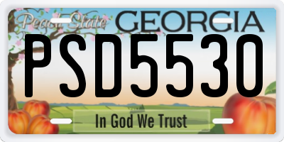 GA license plate PSD5530