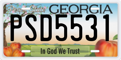 GA license plate PSD5531