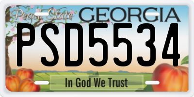 GA license plate PSD5534