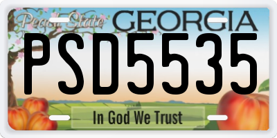 GA license plate PSD5535