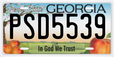 GA license plate PSD5539