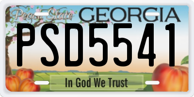 GA license plate PSD5541