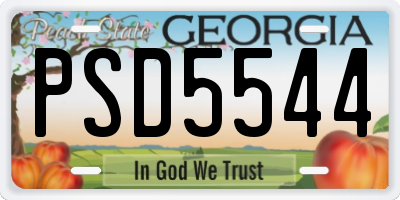 GA license plate PSD5544