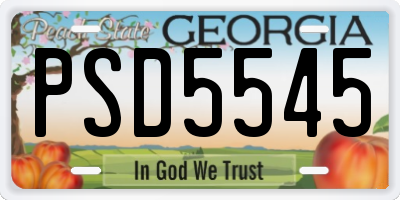 GA license plate PSD5545