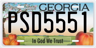 GA license plate PSD5551