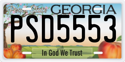 GA license plate PSD5553