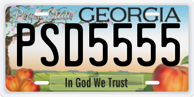 GA license plate PSD5555