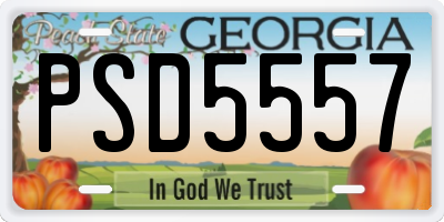 GA license plate PSD5557