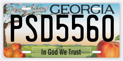 GA license plate PSD5560