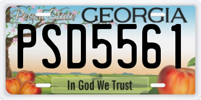 GA license plate PSD5561