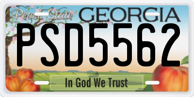 GA license plate PSD5562