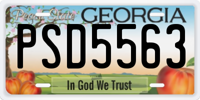 GA license plate PSD5563