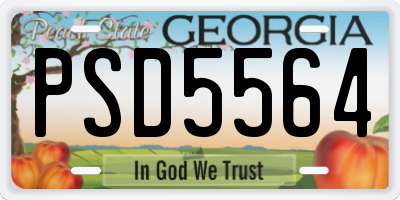 GA license plate PSD5564