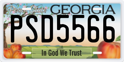 GA license plate PSD5566