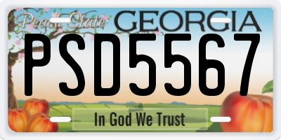 GA license plate PSD5567