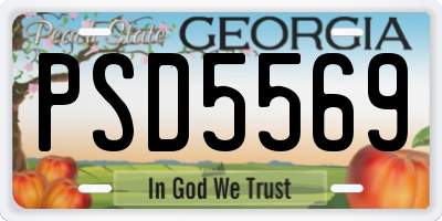 GA license plate PSD5569
