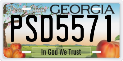 GA license plate PSD5571