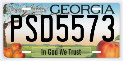GA license plate PSD5573