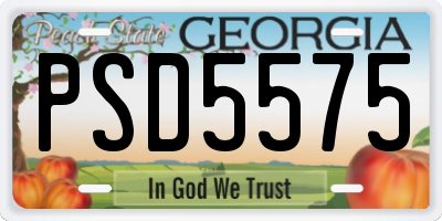 GA license plate PSD5575
