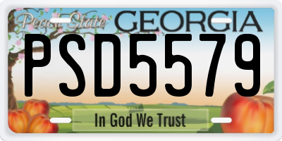 GA license plate PSD5579