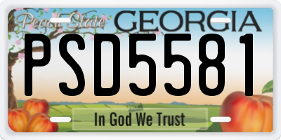 GA license plate PSD5581