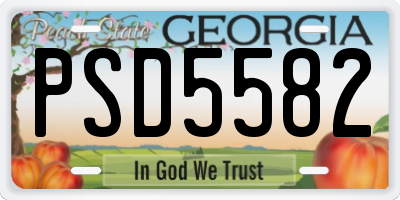 GA license plate PSD5582